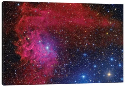 Flaming Star Nebula In The Constellation Auriga Canvas Art Print