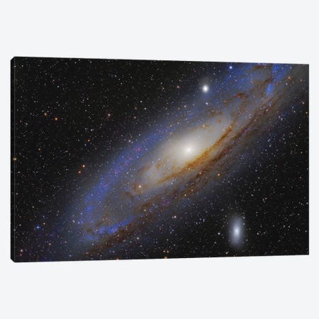 The Andromeda Galaxy (M31) II Canvas Print #TRK1328} by Roberto Colombari Art Print