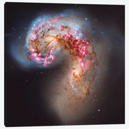 The Antennae Galaxies (NGC 4038/NGC 4039) Canvas Print #TRK1329} by Roberto Colombari Canvas Print