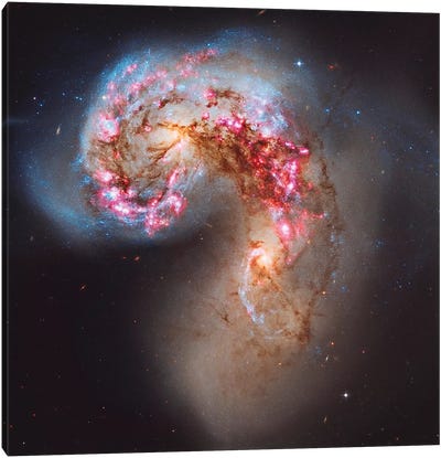 The Antennae Galaxies (NGC 4038/NGC 4039) Canvas Art Print - Stocktrek Images - Astronomy & Space Collection
