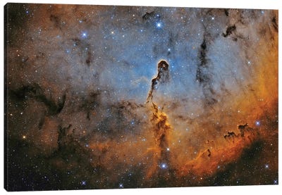 The Elephant Trunk Nebula (IC 1396) II Canvas Art Print - Stocktrek Images - Astronomy & Space Collection