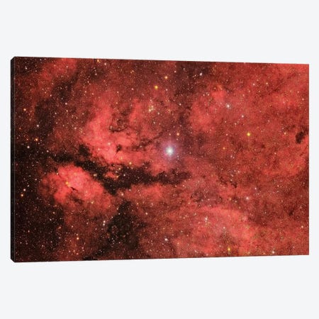 The Sadr Region In The Constellation Cygnus Canvas Print #TRK1340} by Roberto Colombari Canvas Art Print