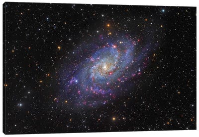 The Triangulum Galaxy (NGC 598) I Canvas Art Print