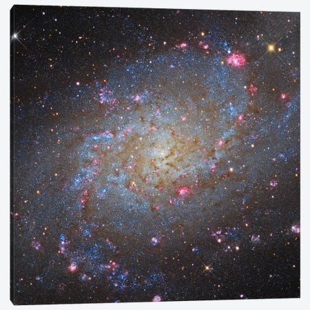 The Triangulum Galaxy (NGC 598) II Canvas Print #TRK1343} by Roberto Colombari Canvas Print