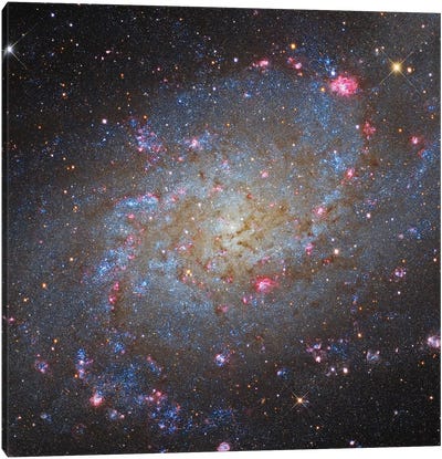 The Triangulum Galaxy (NGC 598) II Canvas Art Print