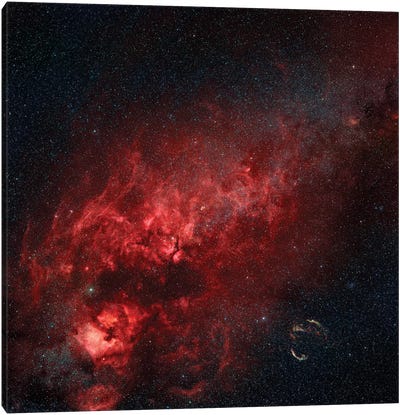Constellation Cygnus With Multiple Nebulae Visible Canvas Art Print
