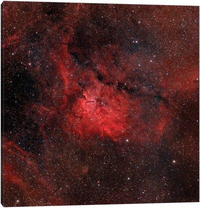 Emission Nebula (NGC 6820) Canvas Art Print
