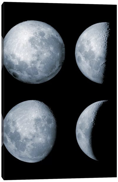 Four Phases Of The Moon Canvas Art Print