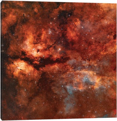 The Butterfly Nebula (IC 1318) Around Star Gamma-Cygni Canvas Art Print
