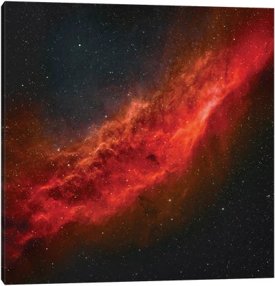 The California Nebula (NGC 1499) II Canvas Art Print - Stocktrek Images - Astronomy & Space Collection