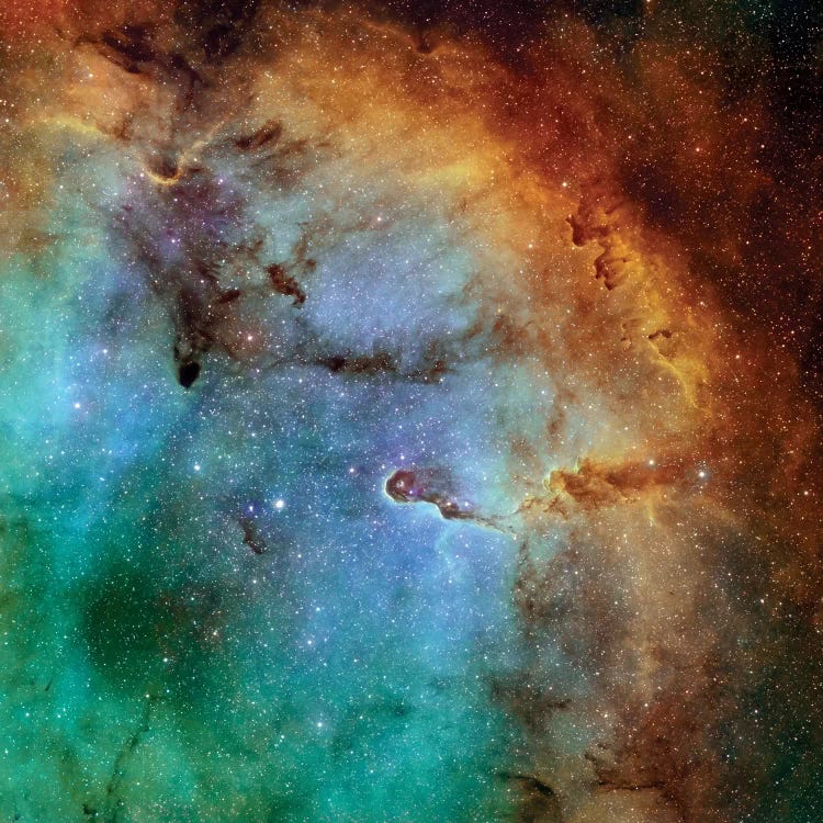 The Elephant Trunk Nebula (IC 1396) II by Rolf Geissinger wall art