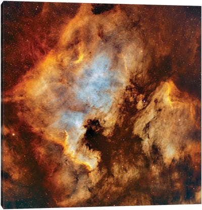 The North America Nebula And Pelican Nebula In Cygnus Canvas Art Print