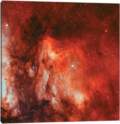 The Pelican Nebula (IC 5070 and IC 5067) Canvas Art Print