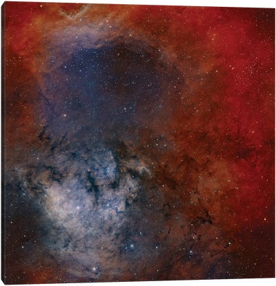 Young Star-Forming Complex NGC 7822 Canvas Art Print