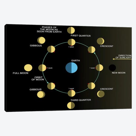 A Diagram Showing The Phases Of The Earth's Moon Canvas Print #TRK1373} by Ron Miller Canvas Wall Art