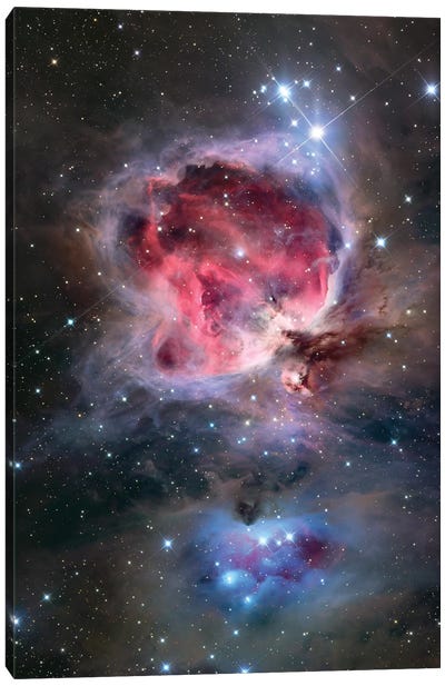 The Orion Nebula (NGC 1976) Canvas Art Print - Stocktrek Images - Astronomy & Space Collection