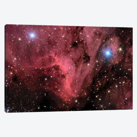 The Pelican Nebula (IC 5070 and IC 5067) Canvas Print #TRK1384} by Roth Ritter Canvas Art