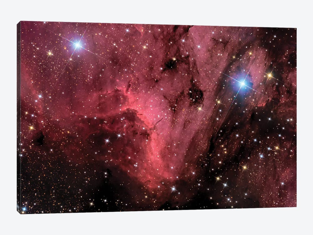 The Pelican Nebula (IC 5070 and IC 5067) 1-piece Canvas Print
