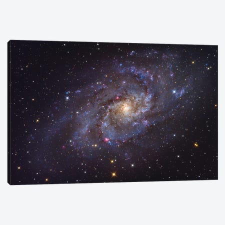 The Triangulum Galaxy (NGC 598) Canvas Print #TRK1385} by Roth Ritter Canvas Wall Art