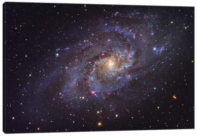The Triangulum Galaxy (NGC 598) Canvas Art Print