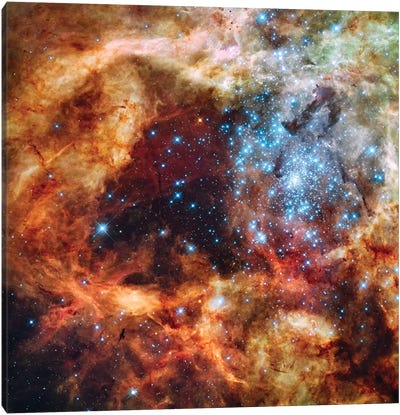 A Stellar Nursery Known As R136 In The 30 Doradus Nebula Canvas Art Print - Stocktrek Images -  Education Collection