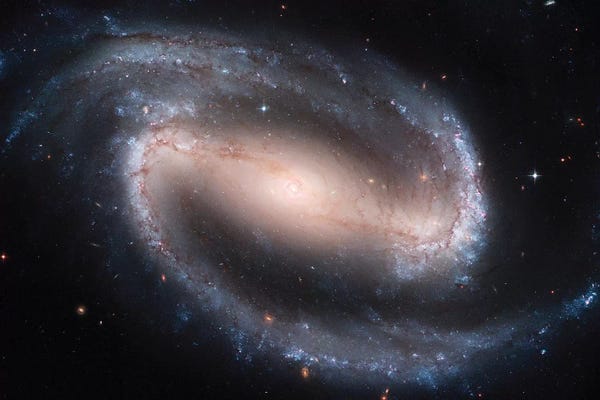 Science: Barred Spiral Galaxy (NGC 1300) by Stocktrek Images