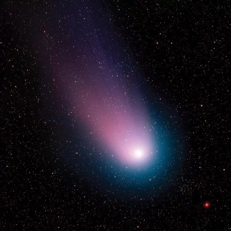 Image Of Comet C/2001 Q4 (Neat) by Stocktrek Images wall art
