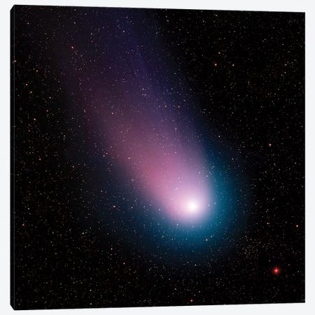 Image Of Comet C/2001 Q4 (Neat) Canvas Print #TRK1499} by Stocktrek Images Art Print