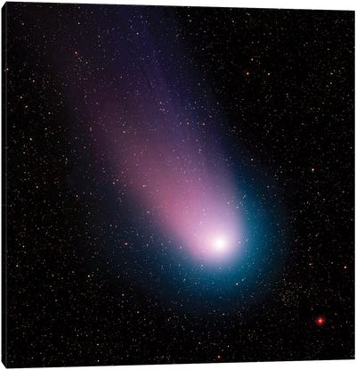 Image Of Comet C/2001 Q4 (Neat) Canvas Art Print - Stocktrek Images - Astronomy & Space Collection