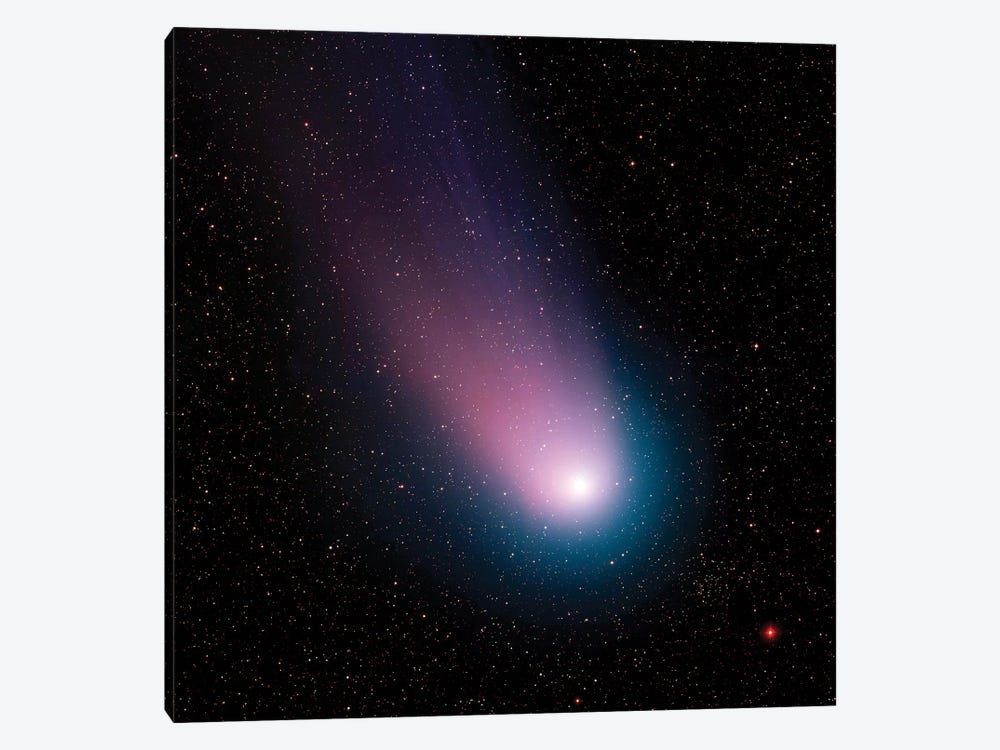 Image Of Comet C/2001 Q4 (Neat) by Stocktrek Images 1-piece Canvas Art