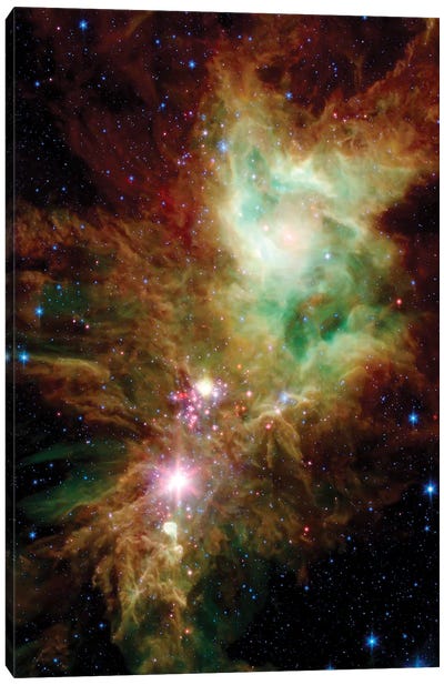 Newborn Stars In The Christmas Tree Cluster (NGC 2264) Canvas Art Print - Space Lover