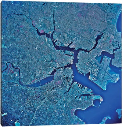 Boston, Massachusetts Canvas Art Print - Boston Maps