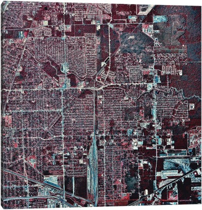 Houston, Texas II Canvas Art Print - Houston Maps