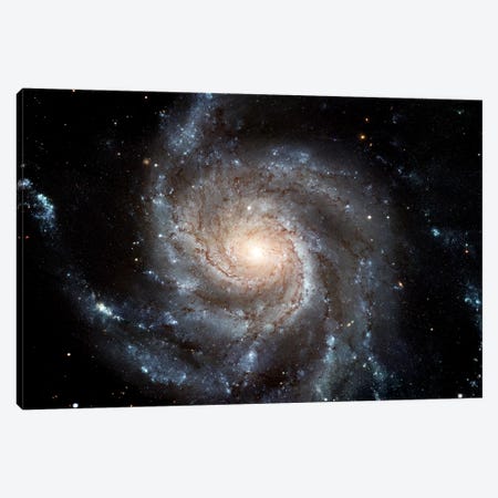 Spiral Galaxy (M101) Canvas Print #TRK1692} by Stocktrek Images Canvas Art Print