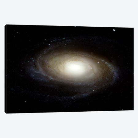 Spiral Galaxy (M81) Canvas Print #TRK1693} by Stocktrek Images Canvas Print