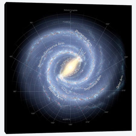 The Milky Way Galaxy (Annotated) Canvas Print #TRK1728} by Stocktrek Images Art Print