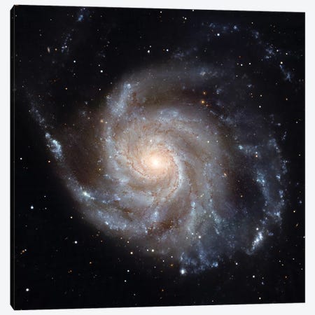 The Pinwheel Galaxy (M101) Canvas Print #TRK1735} by Stocktrek Images Art Print