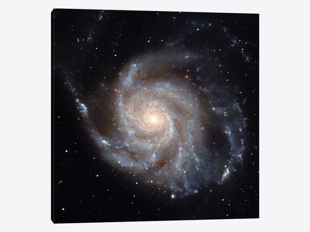 The Pinwheel Galaxy (M101) by Stocktrek Images 1-piece Canvas Wall Art