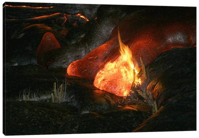 Kilauea Pahoehoe Lava Flow, Big Island, Hawaii II Canvas Art Print