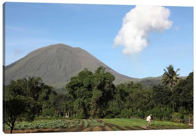 Agriculture Near Kinilow Town At Foot Of Lokon-Empung Volcano, Indonesia Canvas Art Print