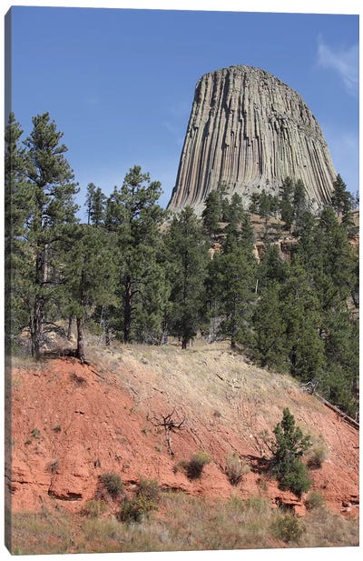 Devils Tower National Monument, Wyoming II Canvas Art Print