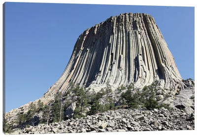 Devils Tower National Monument, Wyoming III Canvas Art Print