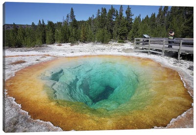 Morning Glory Pool Hot Spring, Upper Geyser Basin Geothermal Area, Yellowstone National Park I Canvas Art Print