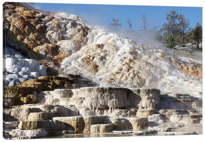 Palette Spring And Travertine Sinter Terraces Mammoth Hot Springs, Yellowstone National Park Canvas Art Print