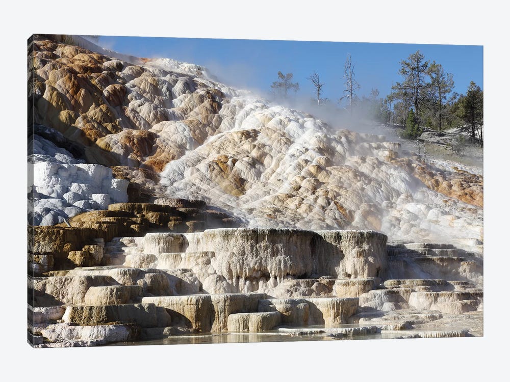 Palette Spring And Travertine Sinter Terraces Mammoth Hot Springs, Yellowstone National Park by Richard Roscoe 1-piece Canvas Art