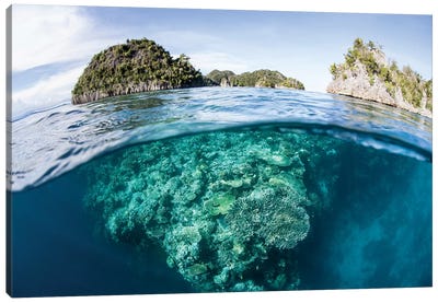 A Beautiful Coral Reef Grows In Raja Ampat, Indonesia Canvas Art Print