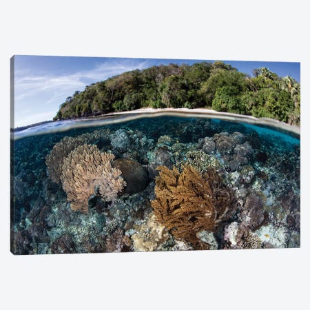 A Coral Reef Thrives In Shallow Water Near Alor In The Lesser Sunda Islands Of Indonesia Canvas Print #TRK2014} by Ethan Daniels Canvas Artwork