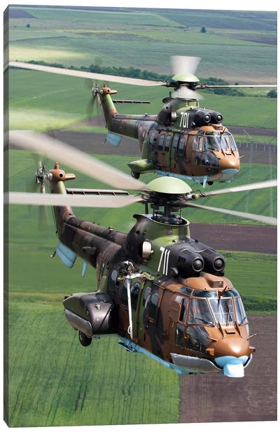 Pair Of Bulgarian Air Force Eurocopter AS532 AL Cougar Helicopters Canvas Art Print
