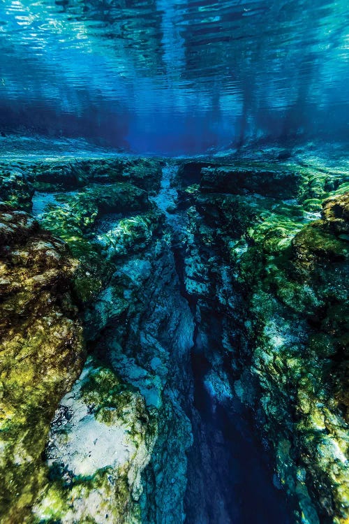 Ginnie Springs In Florida