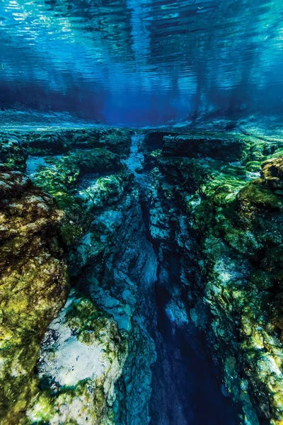 Ocean Blues: Ginnie Springs In Florida by Jennifer Idol